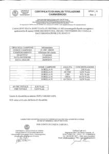 Labbrapport för Gorilla Glue