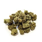 Popcorn buds i hög