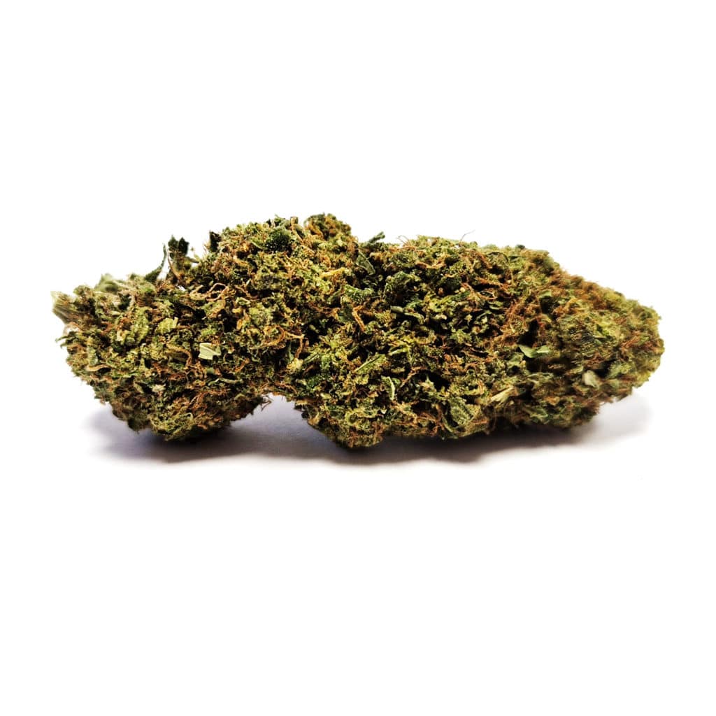 Orange Bud