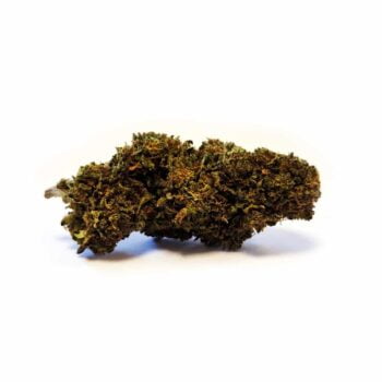 Therapy CBD Bud