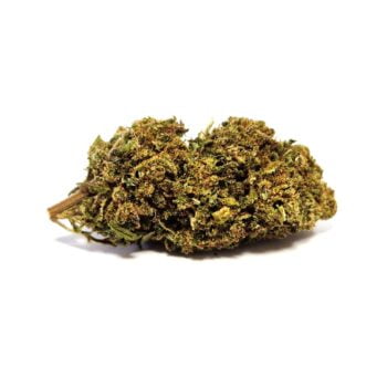 Girl Scout Cookies CBD