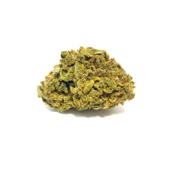 Strawberry Haze blomma