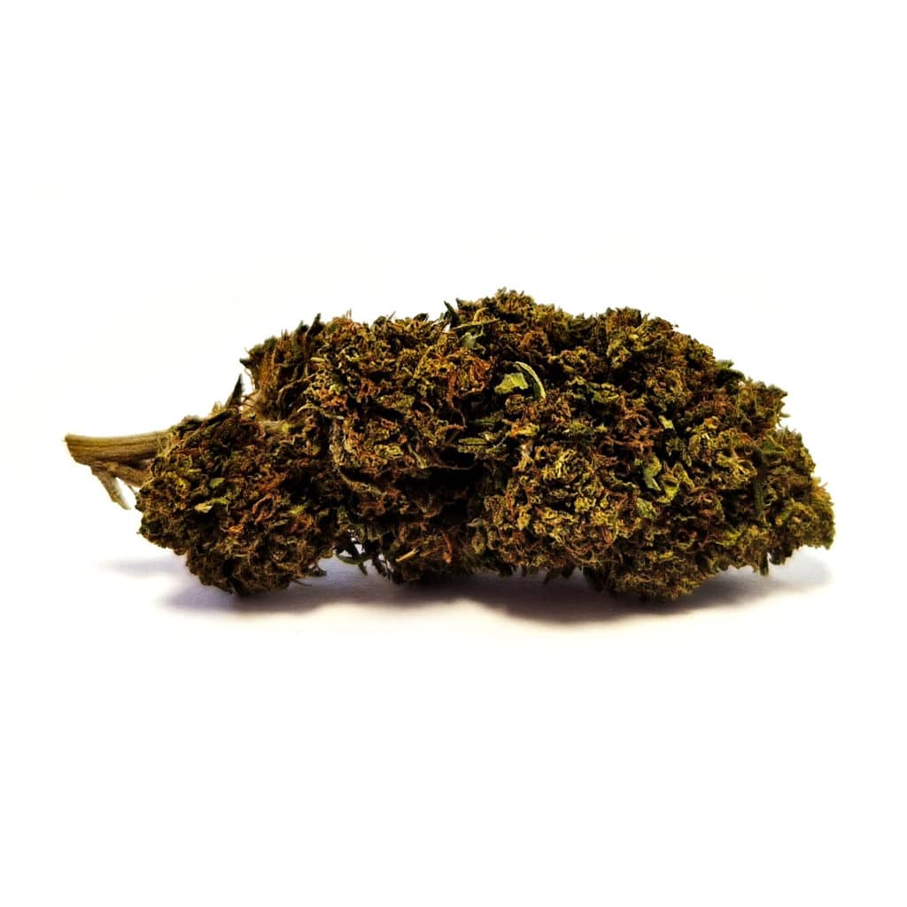 Tangerine Dream CBD Bud