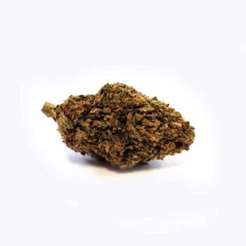 Gorilla Glue CBD Buds