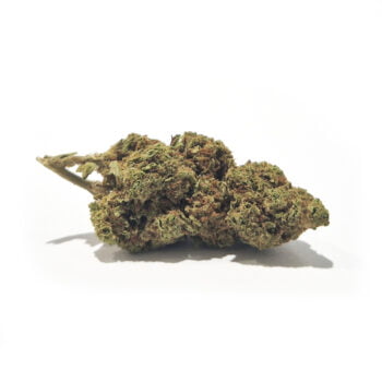 Gassy Aurora CBD Flower