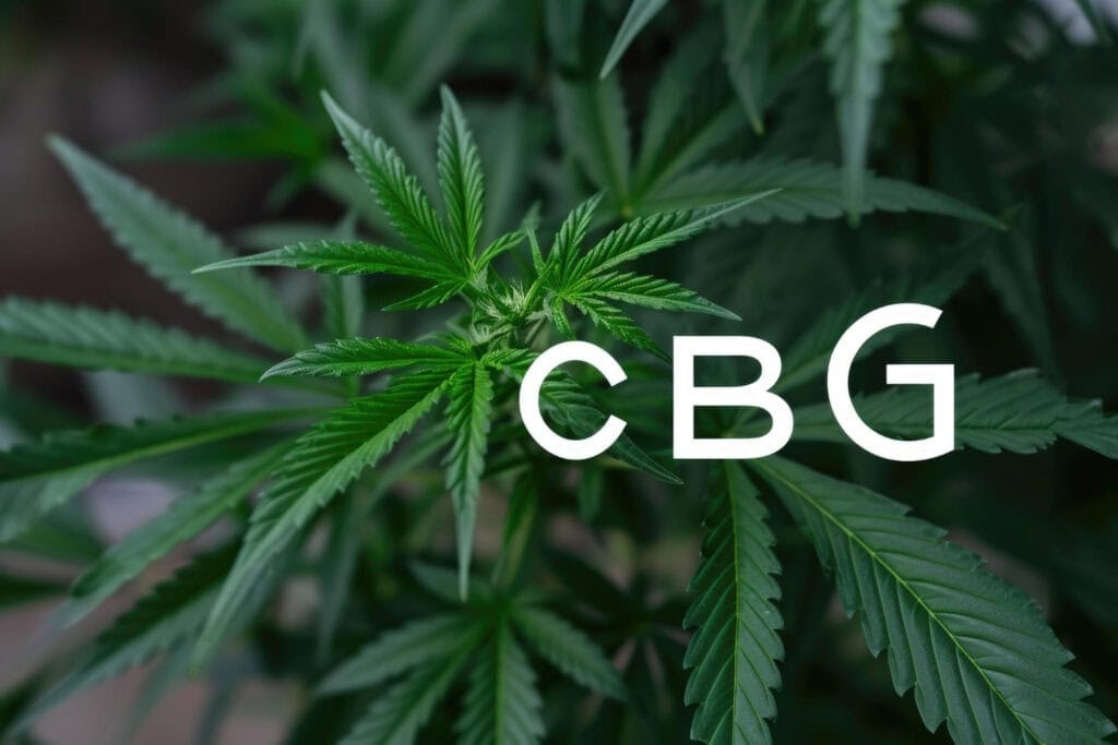 CBG flower