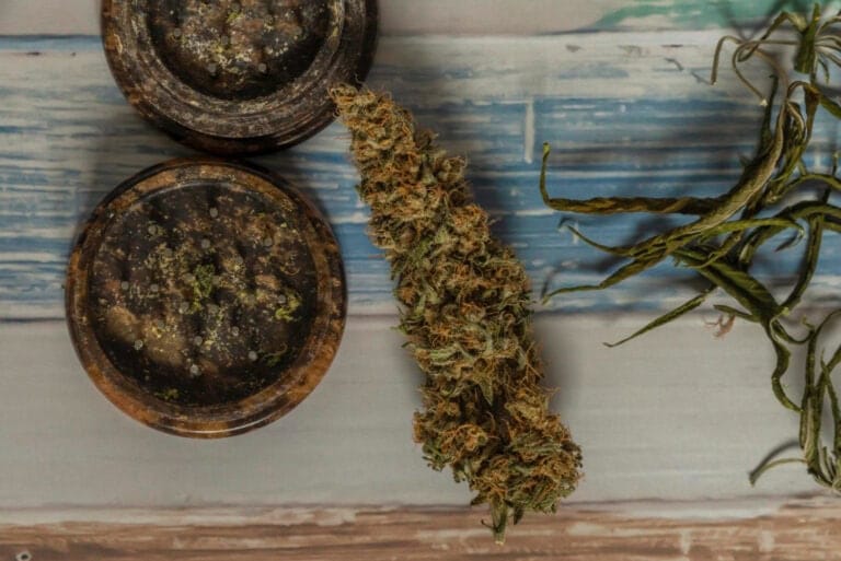Torkad cannabistopp bredvid en öppen grinder med malda blommor på ett träbord
