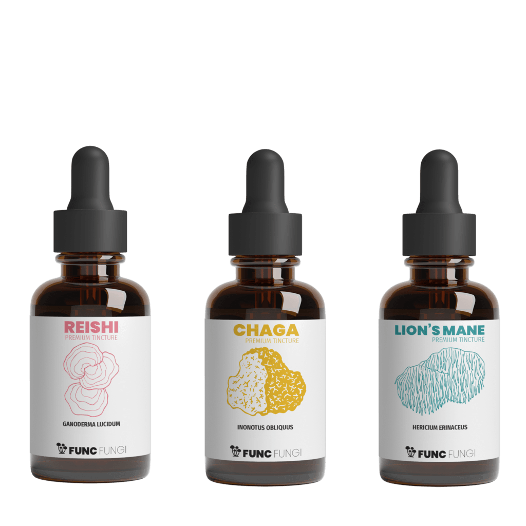 Startpaket chaga, reishi, lions mane -tinkturer