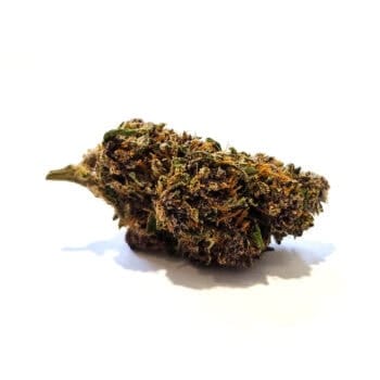 Pink Buds