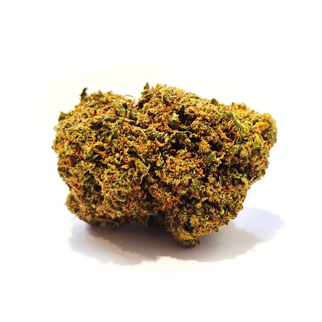 Blueberry Muffin CBD blomma