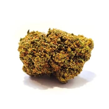 Blueberry Muffin CBD blomma