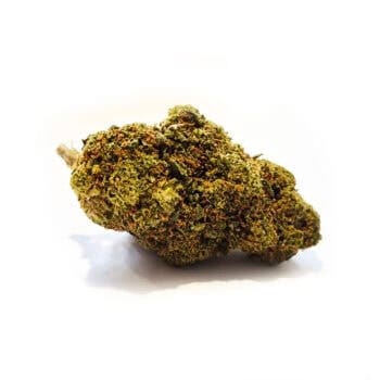 Väldoftande mango cbd blomma
