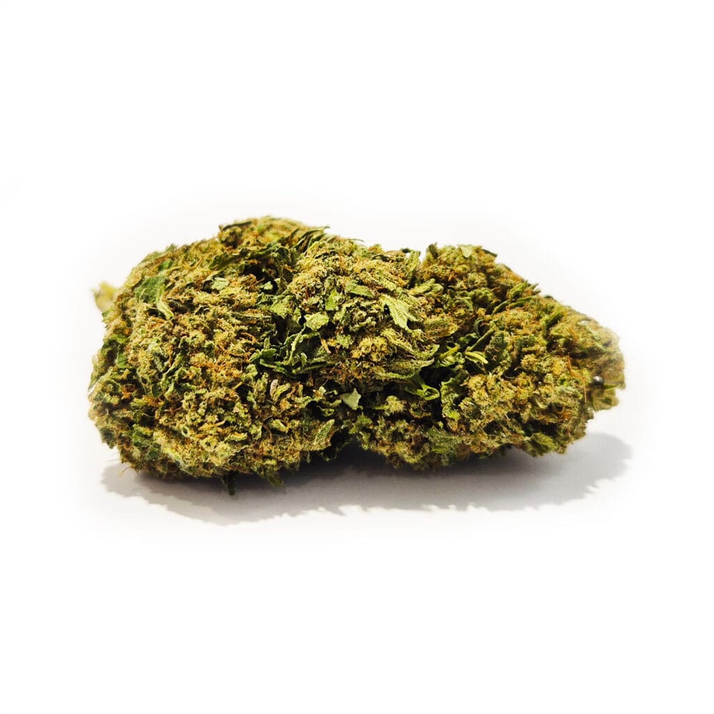 Cheesecake CBD-blomma från 2025