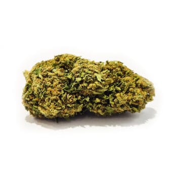 Cheesecake CBD-blomma från 2025