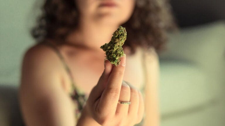 Kvinna håller upp en torkad cannabisblomma mot kameran