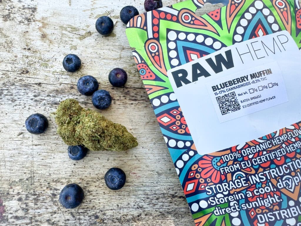 Blueberry Muffin on table with blueberries