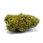 Sour Tart CBD blomma
