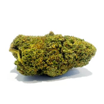 Sour Tart CBD blomma