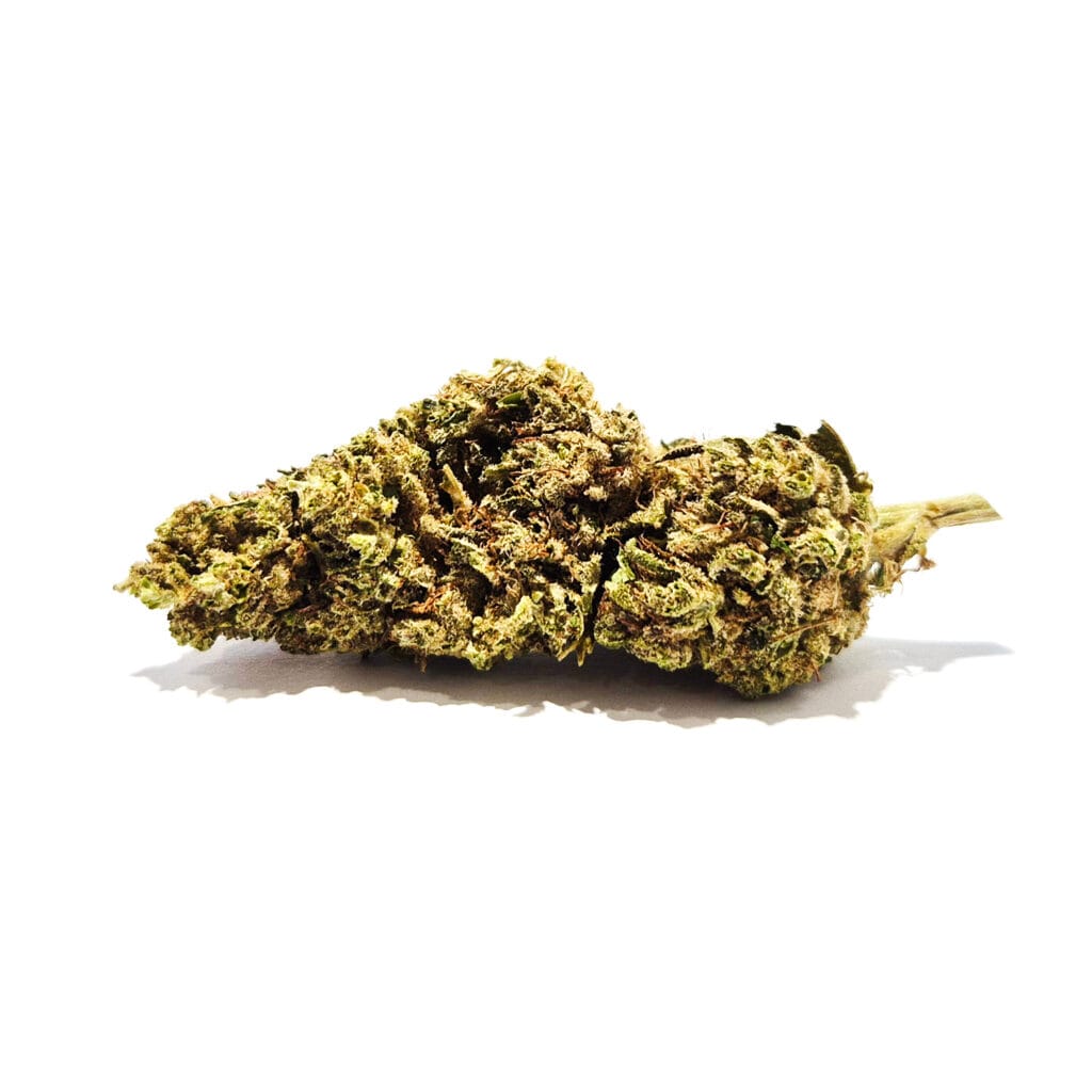 Super Lemon Haze CBD blomma