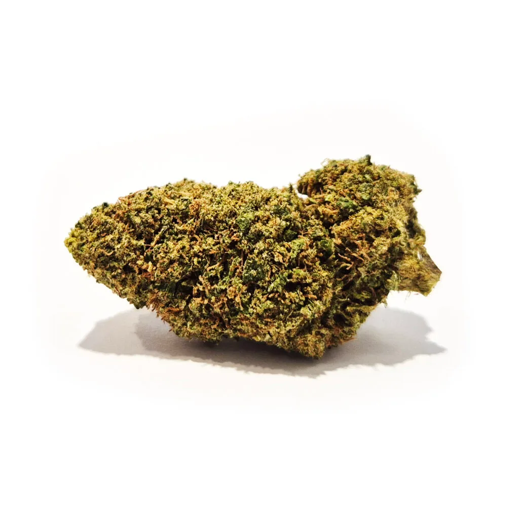 Super Silver Haze cbd blomma