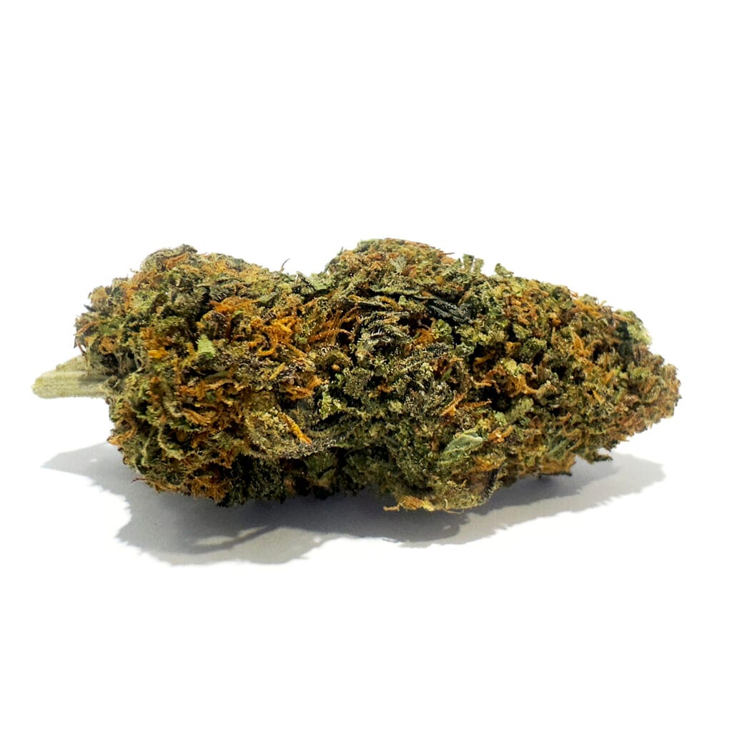 Berry Pie CBD blomma