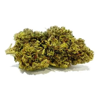 Cheese Quake CBD Flower