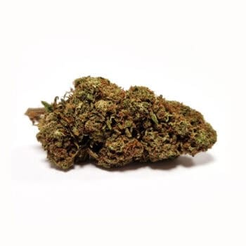 Kiss Serra CBD Blomma