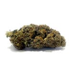 Monkey Punch CBD