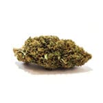 Silly Berry CBD Bud