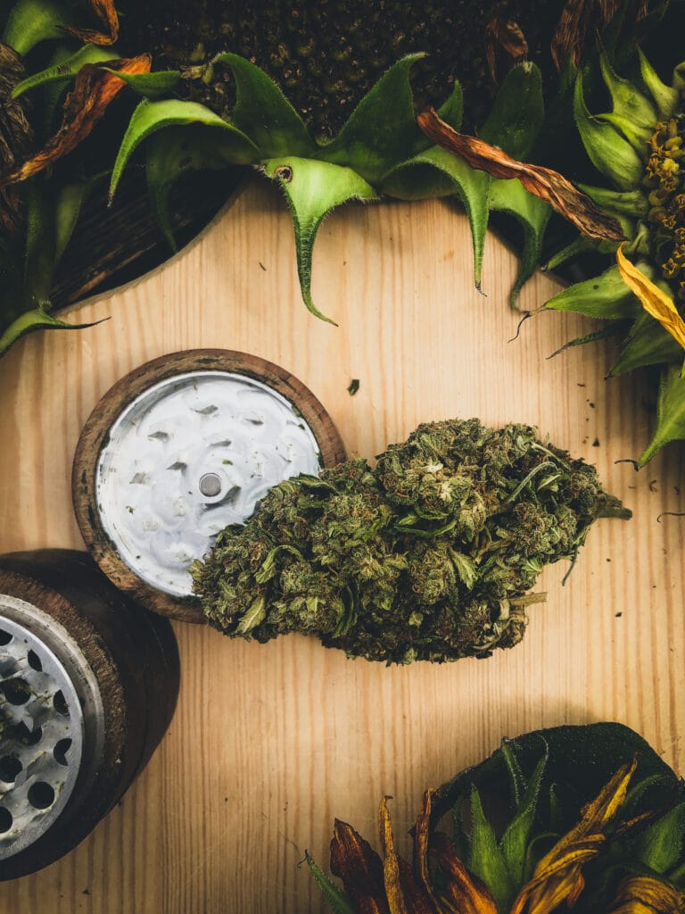 Cannabis with grinder