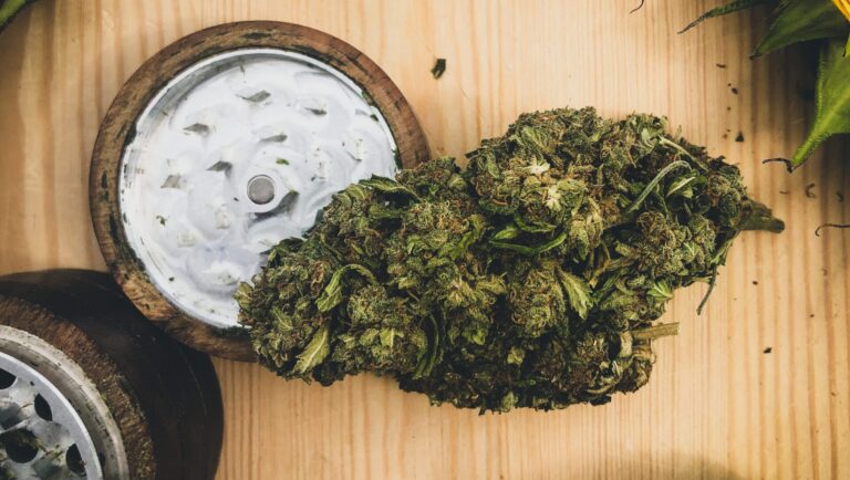 Cannabisblomma bredvid en grinder