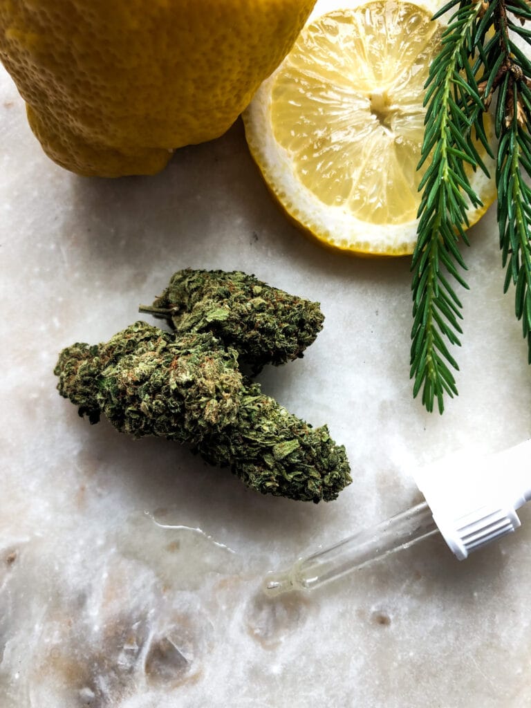 CBD Olja och cbd buds