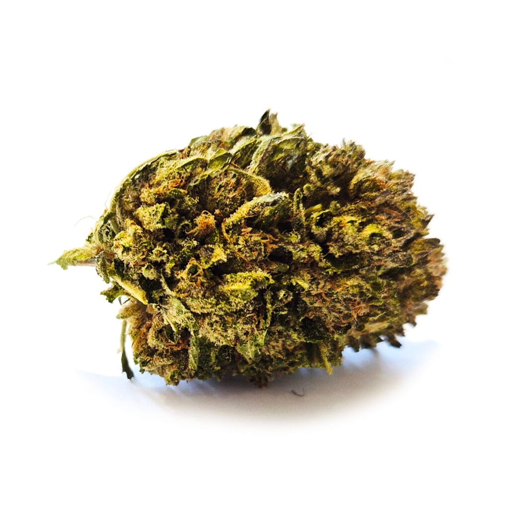 Kush Kush cbd blomma