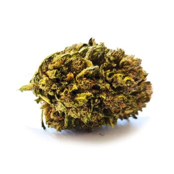 Kush Kush cbd blomma