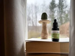 cbn oil standing on book with mushroom