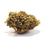 Allium Spice CBD