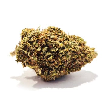 Allium Spice CBD