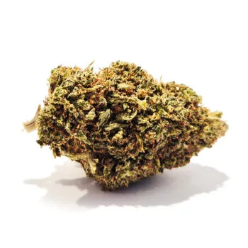 Allium Spice CBD