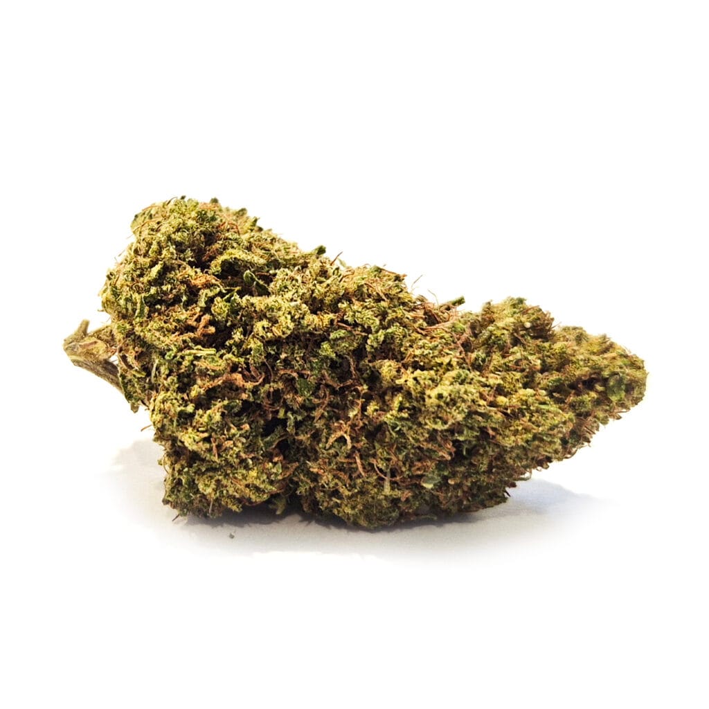 Cheddar CBD