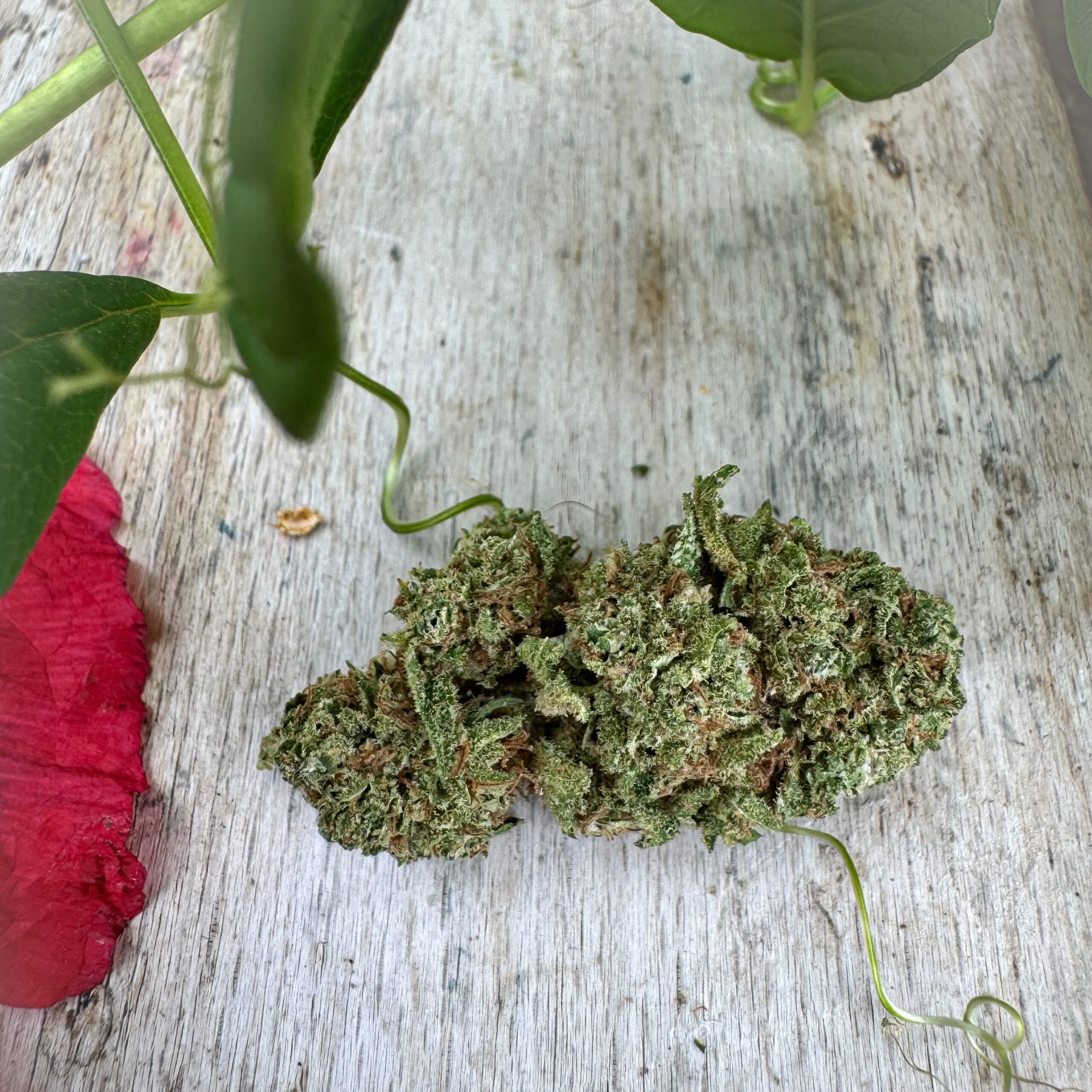 1 Million cbd flower
