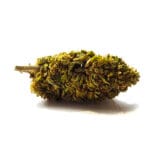 Lemon Trip CBD