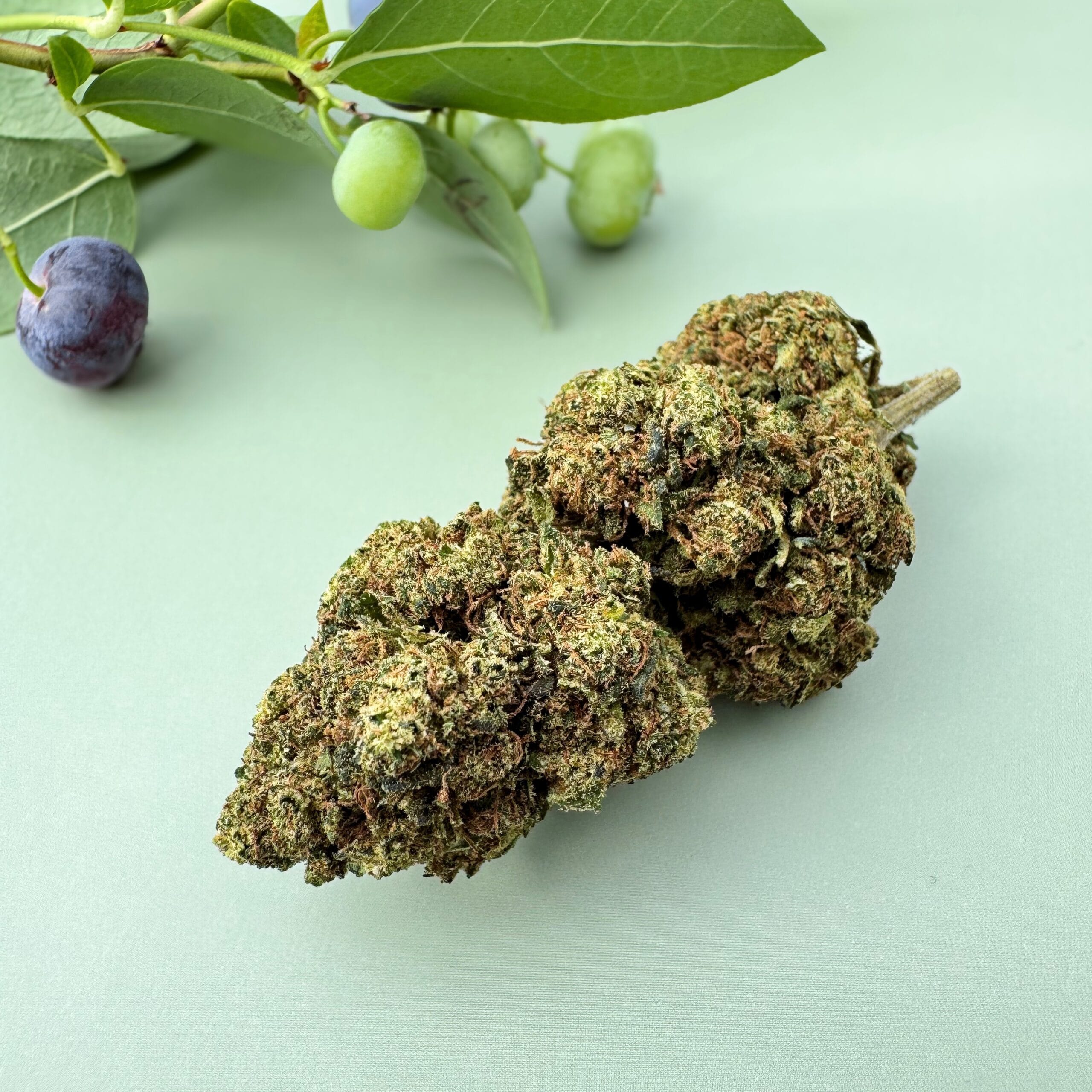 Blueberry cbd flower