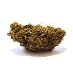 Black Cherry Gelato CBD-blomma