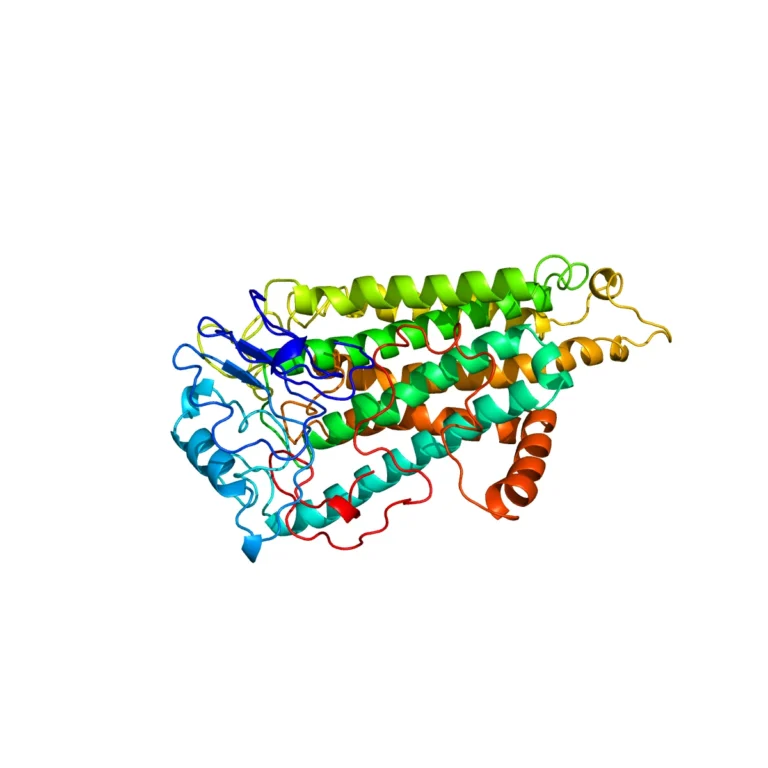 3D-modell av cannabinoidreceptorn CB1