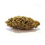 Fruit Cake CBD-blomma