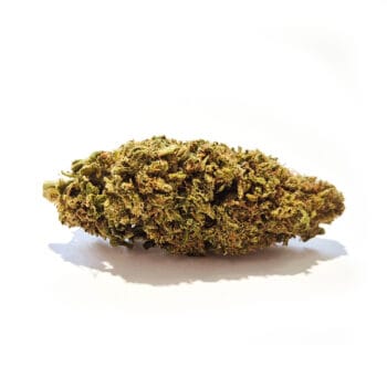 Fruit Cake CBD-blomma