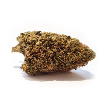 Orange Zkittlez CBD-blomma