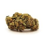 Raspberry CBD-blomma med täta buds och orange pistiller