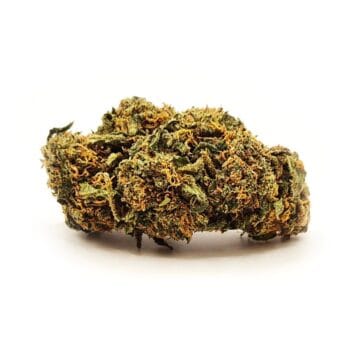 Raspberry CBD-blomma med täta buds och orange pistiller