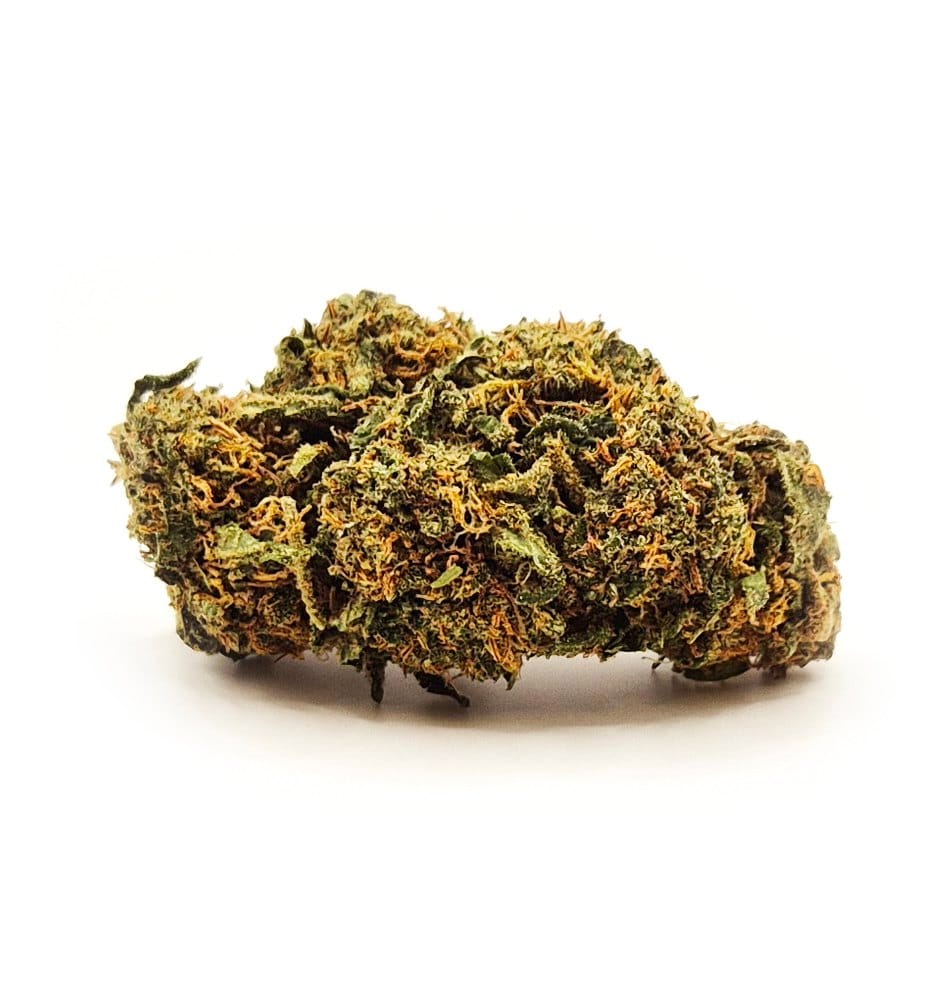 Raspberry CBD-blomma med täta buds och orange pistiller